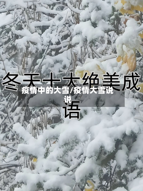 疫情中的大雪/疫情大雪说说