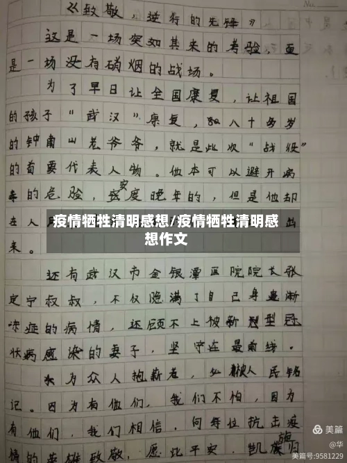 疫情牺牲清明感想/疫情牺牲清明感想作文