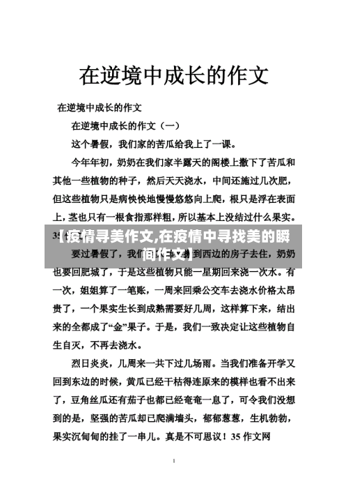 【疫情寻美作文,在疫情中寻找美的瞬间作文】