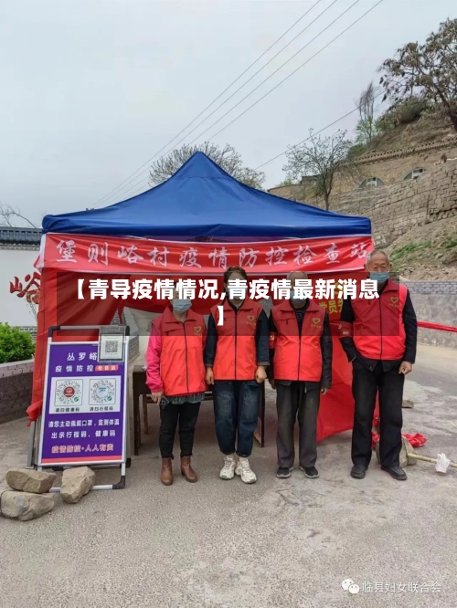 【青导疫情情况,青疫情最新消息】