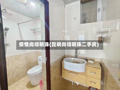 疫情尚领明珠(昆明尚领明珠二手房)-第3张图片