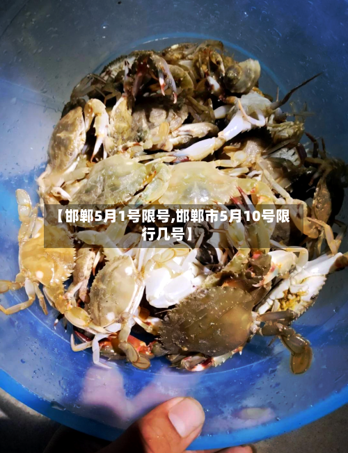【邯郸5月1号限号,邯郸市5月10号限行几号】