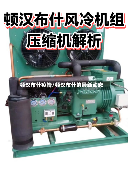 顿汉布什疫情/顿汉布什的最新动态