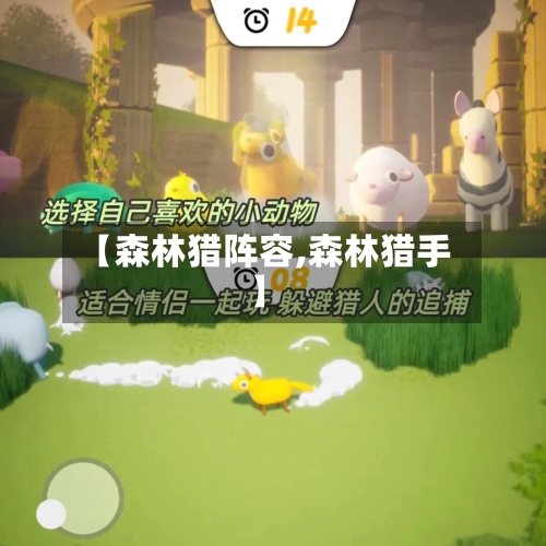 【森林猎阵容,森林猎手】