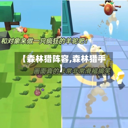 【森林猎阵容,森林猎手】-第2张图片
