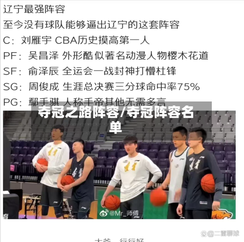 夺冠之路阵容/夺冠阵容名单-第2张图片