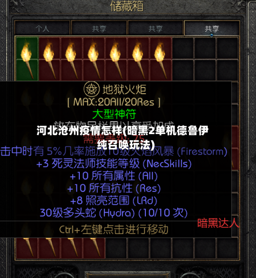 河北沧州疫情怎样(暗黑2单机德鲁伊纯召唤玩法)-第2张图片