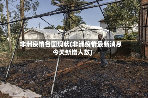 非洲疫情各国现状(非洲疫情最新消息今天新增人数)-第2张图片