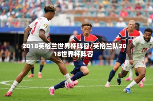 2018英格兰世界杯阵容/英格兰队2018世界杯阵容-第2张图片