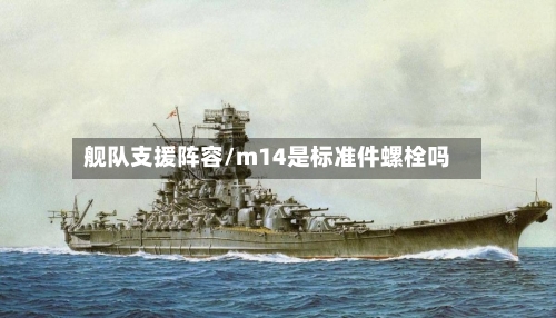 舰队支援阵容/m14是标准件螺栓吗-第3张图片