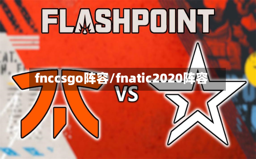 fnccsgo阵容/fnatic2020阵容
