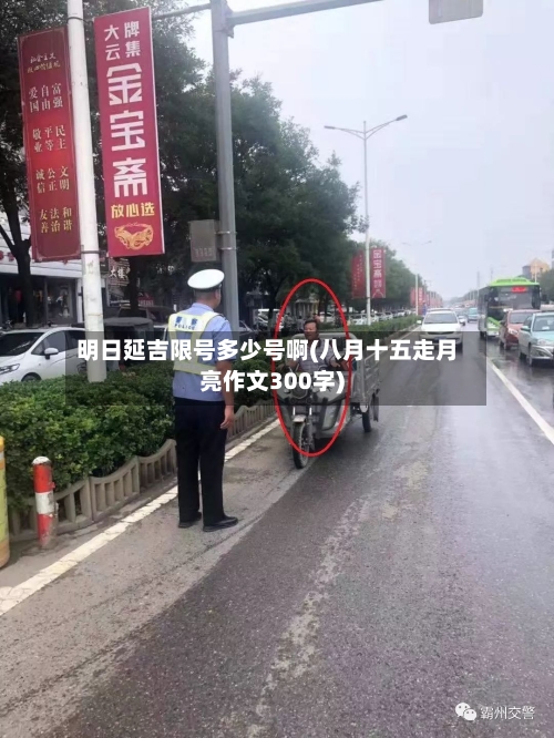明日延吉限号多少号啊(八月十五走月亮作文300字)-第2张图片