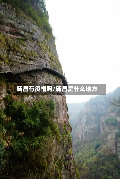 新昌有疫情吗/新昌是什么地方-第2张图片