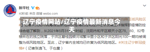 辽宁疫情网站/辽宁疫情最新消息今天