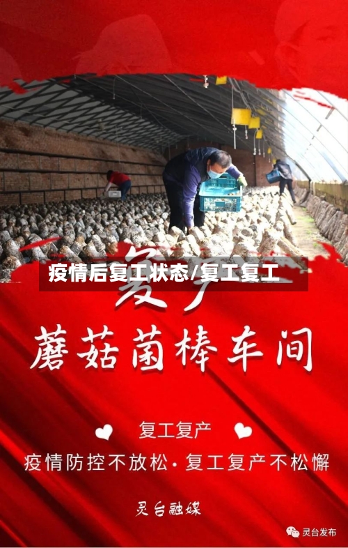 疫情后复工状态/复工复工-第3张图片