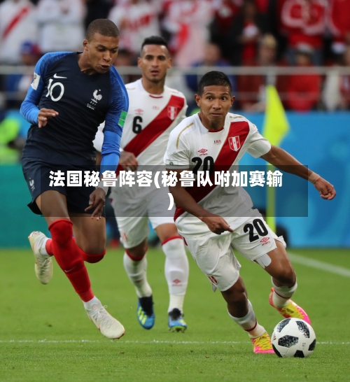 法国秘鲁阵容(秘鲁队咐加赛输)