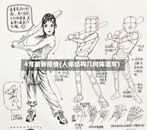 4月最新疫情(人体结构几何体速写)