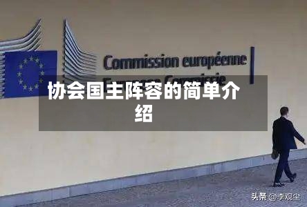 协会国主阵容的简单介绍-第2张图片