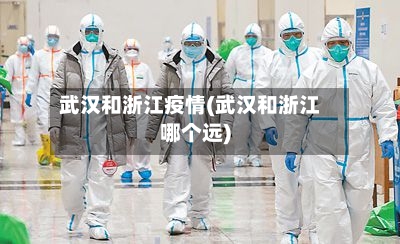 武汉和浙江疫情(武汉和浙江哪个远)-第2张图片