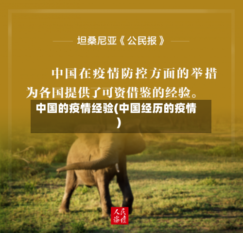 中国的疫情经验(中国经历的疫情)