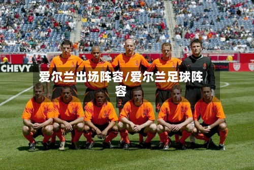 爱尔兰出场阵容/爱尔兰足球阵容