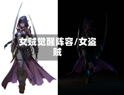 女贼觉醒阵容/女盗贼-第2张图片