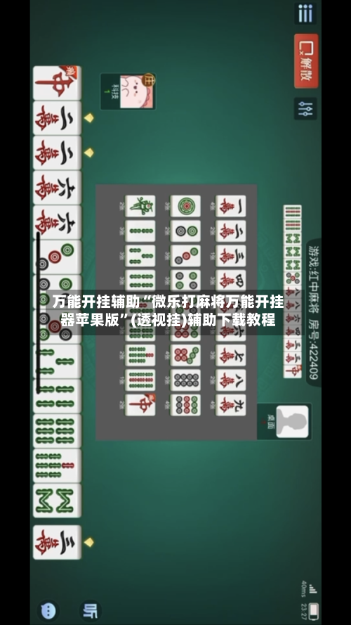 万能开挂辅助“微乐打麻将万能开挂器苹果版”(透视挂)辅助下载教程-第3张图片