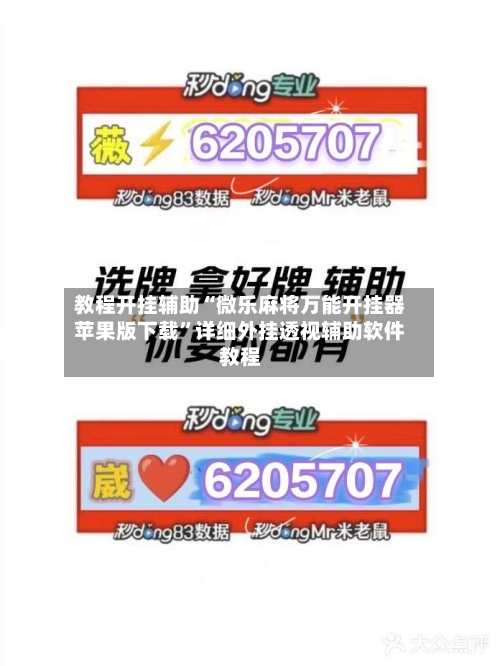 教程开挂辅助“微乐麻将万能开挂器苹果版下载”详细外挂透视辅助软件教程-第3张图片