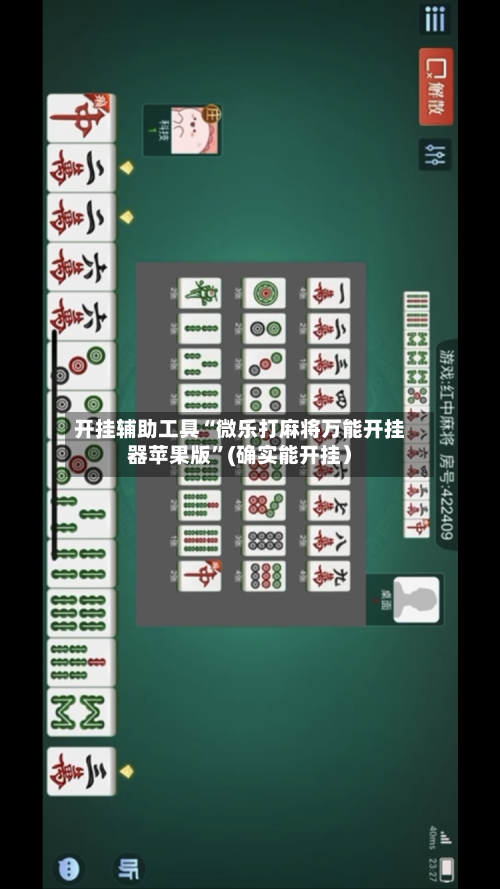 开挂辅助工具“微乐打麻将万能开挂器苹果版”(确实能开挂）-第3张图片