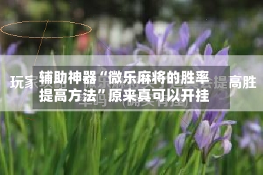 辅助神器“微乐麻将的胜率提高方法”原来真可以开挂