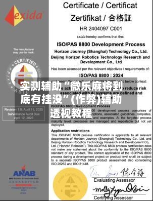 实测辅助“微乐麻将到底有挂没”(作弊)辅助透视教程