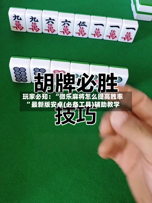 玩家必知：“微乐麻将怎么提高胜率”最新版安卓(必备工具)辅助教学-第2张图片