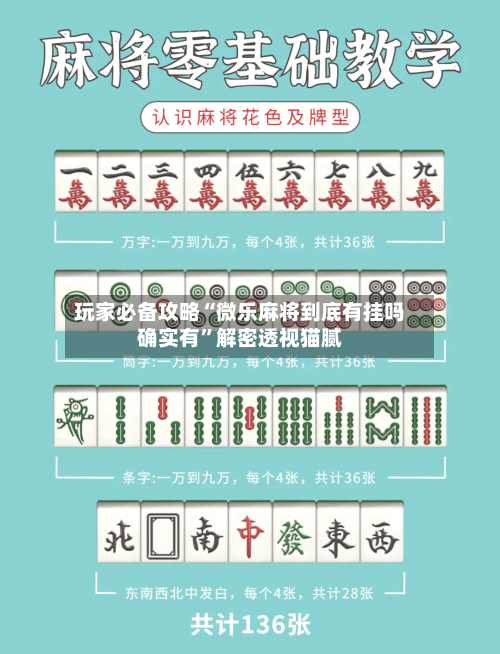 玩家必备攻略“微乐麻将到底有挂吗确实有”解密透视猫腻-第2张图片