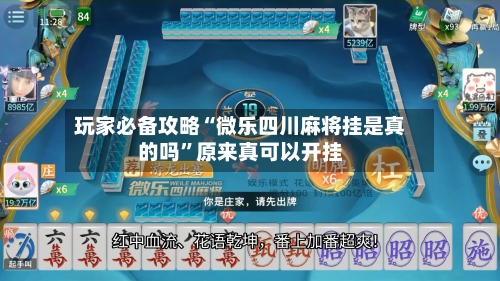 玩家必备攻略“微乐四川麻将挂是真的吗”原来真可以开挂-第3张图片