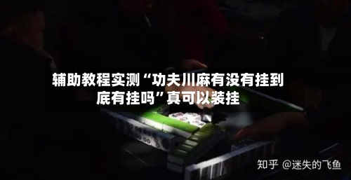 辅助教程实测“功夫川麻有没有挂到底有挂吗”真可以装挂-第2张图片