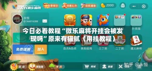 今日必看教程“微乐麻将开挂会被发现吗”原来有猫腻（用挂教程）-第3张图片