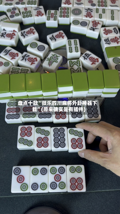 盘点十款“微乐四川麻将外卦神器下载”(原来确实是有插件)-第2张图片