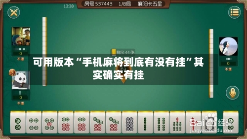 可用版本“手机麻将到底有没有挂”其实确实有挂-第2张图片