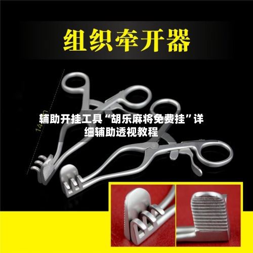 辅助开挂工具“胡乐麻将免费挂	”详细辅助透视教程-第2张图片