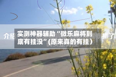 实测神器辅助“微乐麻将到底有挂没”(原来真的有挂）-第1张图片