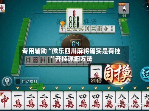 专用辅助“微乐四川麻将确实是有挂”开挂详细方法-第2张图片