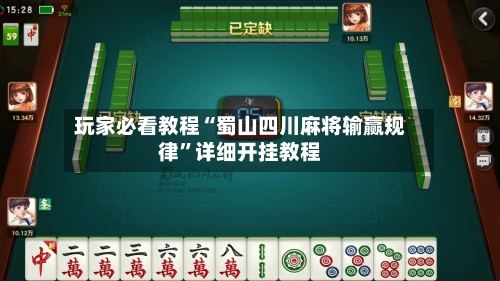 玩家必看教程“蜀山四川麻将输赢规律”详细开挂教程-第2张图片