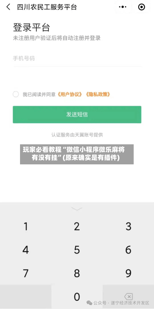 玩家必看教程“微信小程序微乐麻将有没有挂	”(原来确实是有插件)-第3张图片