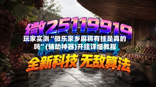 玩家实测“微乐家乡麻将有挂是真的吗	”(辅助神器)开挂详细教程-第2张图片