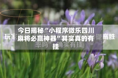 今日揭秘“小程序微乐四川麻将必赢神器	”其实真的有挂-第2张图片