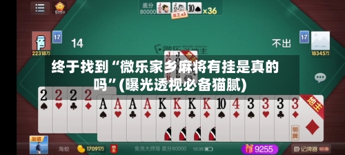 终于找到“微乐家乡麻将有挂是真的吗	”(曝光透视必备猫腻)-第2张图片