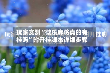 玩家实测“微乐麻将真的有挂吗”附开挂脚本详细步骤-第2张图片