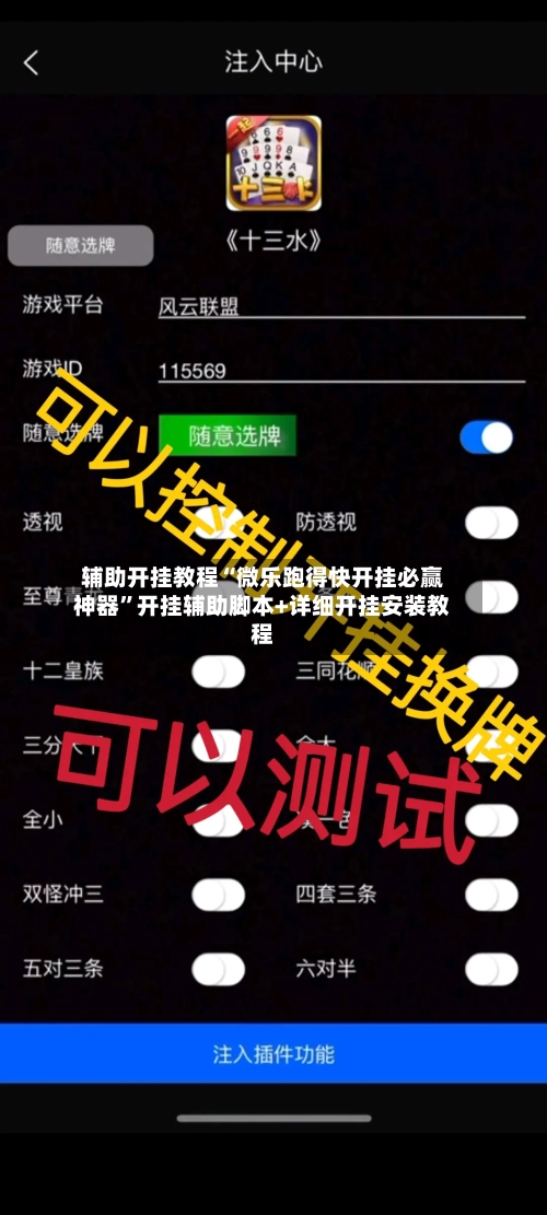 辅助开挂教程“微乐跑得快开挂必赢神器	”开挂辅助脚本+详细开挂安装教程-第2张图片