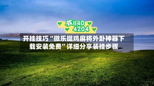 开挂技巧“微乐捉鸡麻将外卦神器下载安装免费	”详细分享装挂步骤-第2张图片