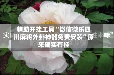 辅助开挂工具“微信微乐四川麻将外卦神器免费安装”原来确实有挂-第2张图片
